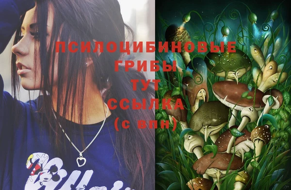 хмурый Магас