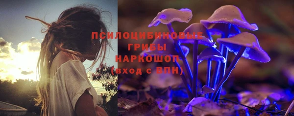 2c-b Мегион