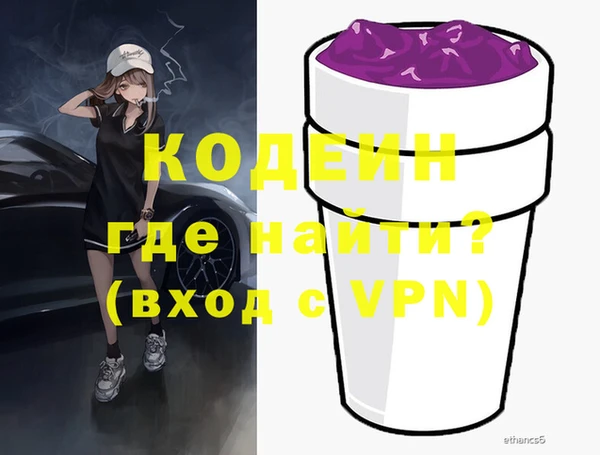 хмурый Магас