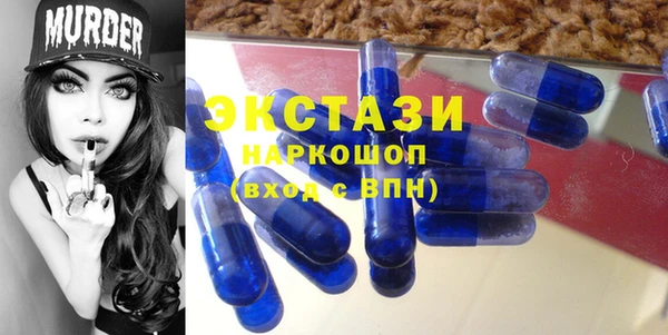 хмурый Магас