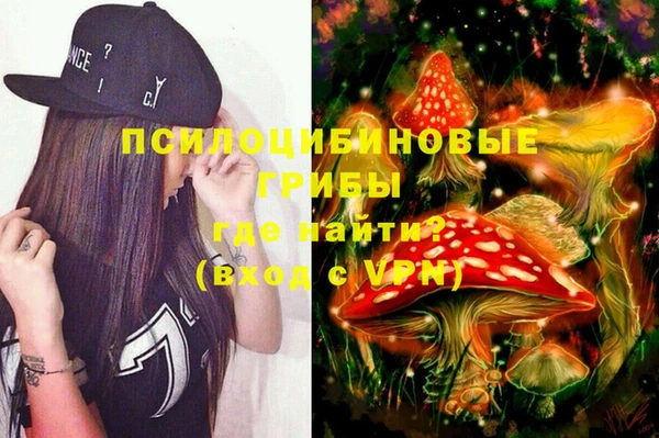 хмурый Магас