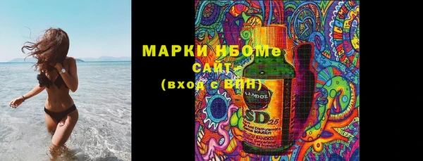 хмурый Магас