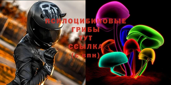 2c-b Мегион