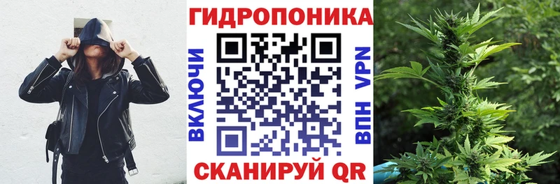 Шишки марихуана планчик Находка